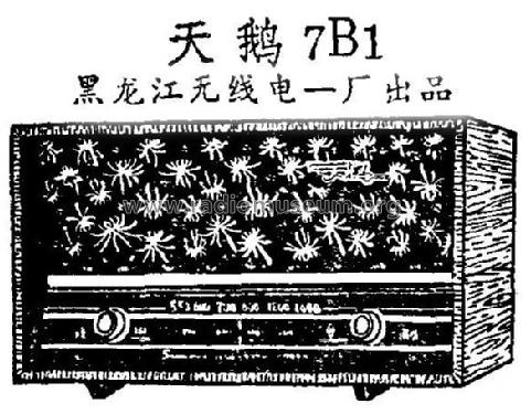 Tian'e 天鹅 7B1; Heilongjiang No.1 黑... (ID = 814867) Radio
