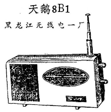 Tian'e 天鹅 8B1; Heilongjiang No.1 黑... (ID = 817101) Radio