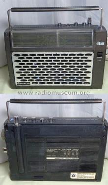 FM-AM Portable Radio KH-1040E / KH-1040ER; Hitachi Ltd.; Tokyo (ID = 2820540) Radio