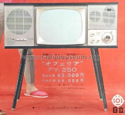 FY-250; Hitachi Ltd.; Tokyo (ID = 1766030) Television