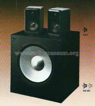 HS-2; Hitachi Ltd.; Tokyo (ID = 550583) Speaker-P