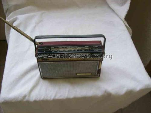 Amorette SA6234T; Horny Hornyphon; (ID = 1421292) Radio