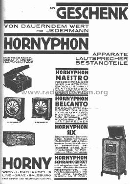 Belcanto WE2; Horny Hornyphon; (ID = 10277) Radio