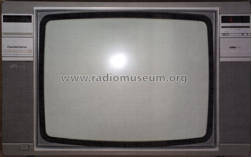 Colour Television Stereo 66KS4903 /09Z; Horny Hornyphon; (ID = 1836035) Television