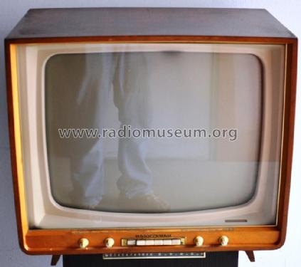 Excelsior Automatic W59T323A /00B Ch= S8; Horny Hornyphon; (ID = 1833476) Television