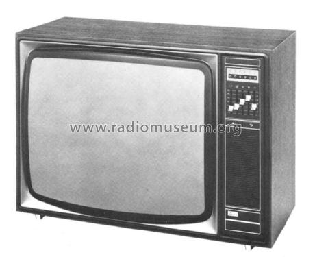 Funkberater Exclusiv W66K602 /00 /05 Ch= K9; Horny Hornyphon; (ID = 701802) Television