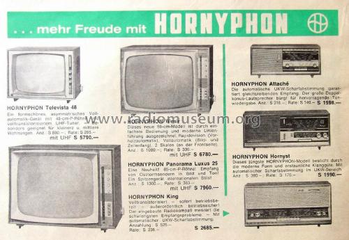 Hornyst W445A /00 /70; Horny Hornyphon; (ID = 2029072) Radio