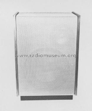 Lautsprecher-Box DX301; Horny Hornyphon; (ID = 188716) Speaker-P