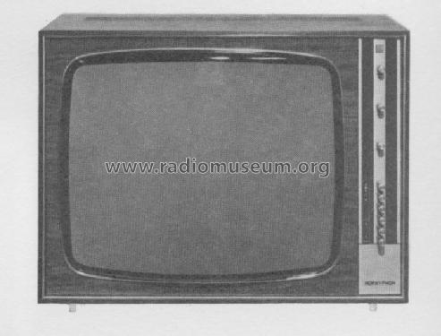 Medici 20 W51T446 /03 Ch= F4-KÄ ; Horny Hornyphon; (ID = 153949) Television