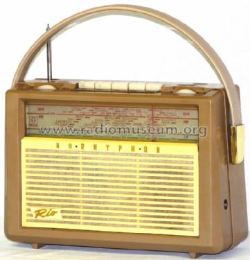 Rio WL400T; Horny Hornyphon; (ID = 1055079) Radio