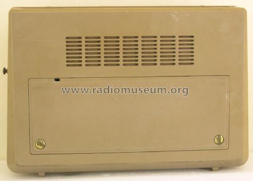 Rio WL400T; Horny Hornyphon; (ID = 1727619) Radio
