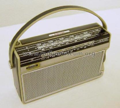 SA-6224T; Horny Hornyphon; (ID = 109057) Radio