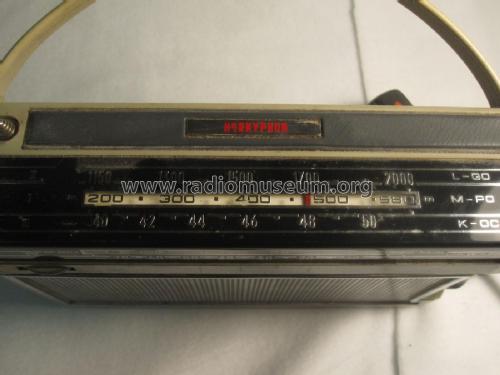 SA-6224T; Horny Hornyphon; (ID = 2011396) Radio