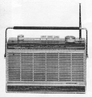 Sabrina W7317; Horny Hornyphon; (ID = 74569) Radio