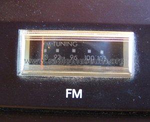 Sound Projekt TA4000 DX5732 Ch= ZU5G; Horny Hornyphon; (ID = 1122331) Radio