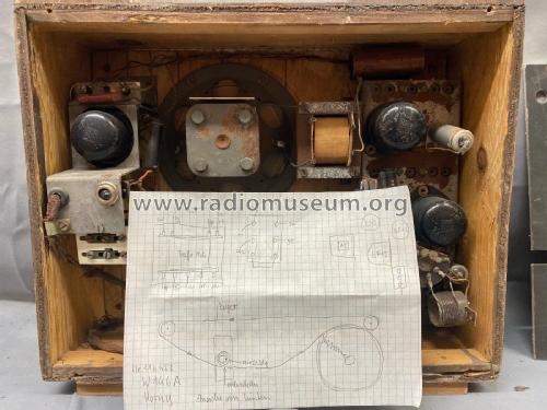 W146A; Horny Hornyphon; (ID = 2632729) Radio