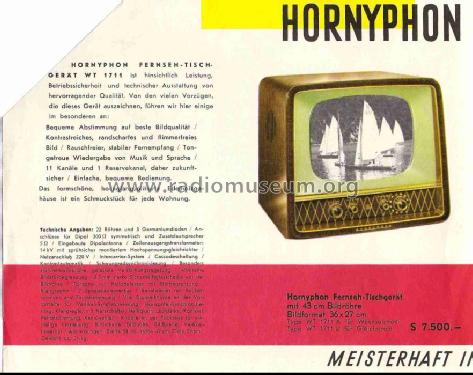 WT1711A Ch= C1; Horny Hornyphon; (ID = 138103) Televisore