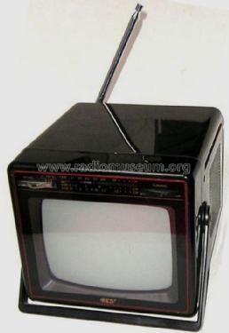 TV-Portable TV2001; ICS/SEC Selectronic (ID = 515813) Fernseh-E