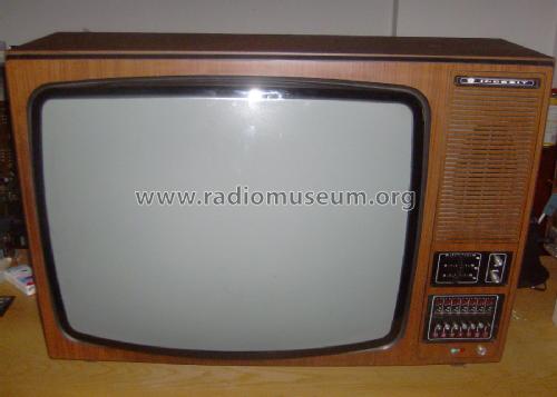 TC26EI; Indesit; Ancona (ID = 2781814) Television