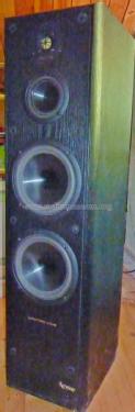 Reference 60; Infinity Systems Inc (ID = 1870678) Speaker-P