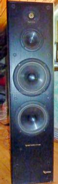 Reference 60; Infinity Systems Inc (ID = 1870682) Speaker-P