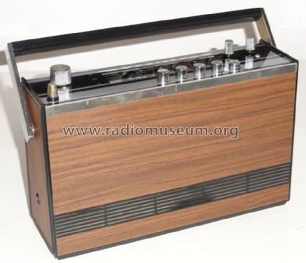 TR 1300 automatic ; Ingelen, (ID = 964022) Radio