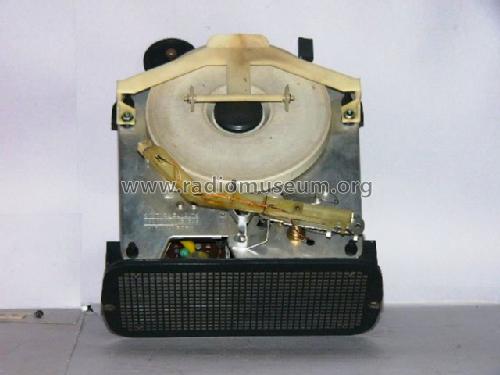 Mini Irradiette ; Irradio; Milano (ID = 376333) R-Player