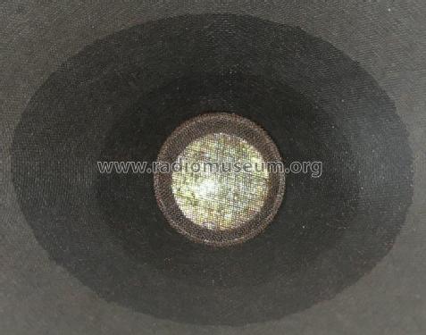 Oval-Lautsprecher P2132/25/9; Isophon, E. Fritz & (ID = 2429235) Speaker-P