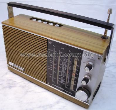 AMIGO 100 automatic 52150301; ITT Schaub-Lorenz (ID = 1311506) Radio