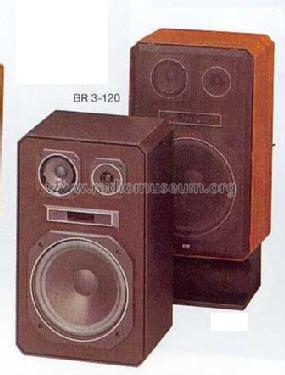 Lautsprecherbox Serie BR3 BR3-120; ITT nicht Schaub, (ID = 1931212) Altavoz-Au