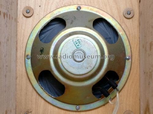 Акустическая система - 3АС-509 Acoustic system - 3АS-509; Izhevsk Radio Works (ID = 2281214) Speaker-P