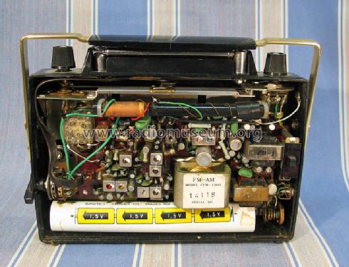 FM-AM 2 Band Transistor Radio Deluxe CFM-1000; Jaguar Nasco (ID = 848442) Radio