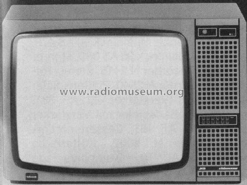 Farbfernsehgerät Chiemsee 866 US; JKG electronic; (ID = 1432995) Television