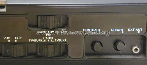 Radio Television P-100EUC; JVC - Victor Company (ID = 1493724) Fernseh-R
