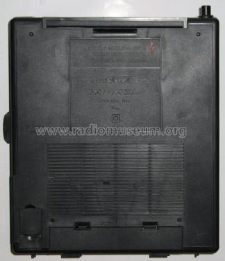 Fantasia ; Radiopribor n. S.P. (ID = 626914) Radio