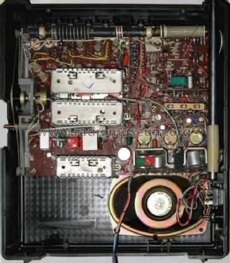 Fantasia ; Radiopribor n. S.P. (ID = 626917) Radio