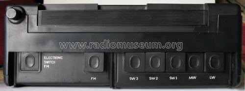 Fantasia ; Radiopribor n. S.P. (ID = 626919) Radio