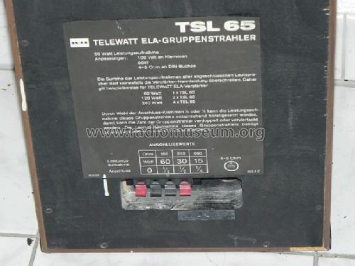 Telewatt Hifi ELA-Gruppenstrahler TSL65; Klein & Hummel; (ID = 1328419) Speaker-P