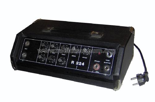 Regent 224; Klingenthaler (ID = 903808) Ampl/Mixer