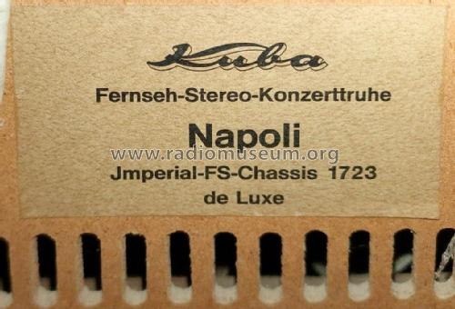 Fernseh-Stereo-Konzerttruhe Napoli 65 Ch= 664 & 1723; Kuba Kuba-Imperial, (ID = 2555939) TV-Radio
