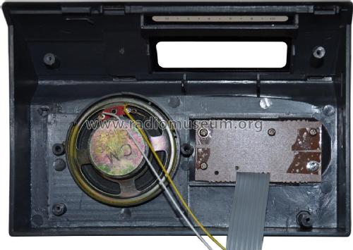 Poppy UKW-Radiowecker Time 300; Lehnert GmbH, Poppy; (ID = 2051128) Radio