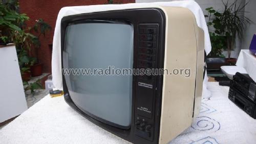 Triumph 1721; Minerva-Radio (ID = 1614396) Television