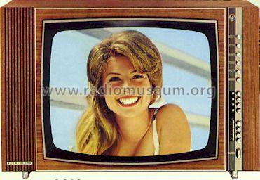 Color F900 94063; Loewe-Opta; (ID = 207316) Television