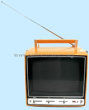 P701 53301; Loewe-Opta; (ID = 1261508) Televisore