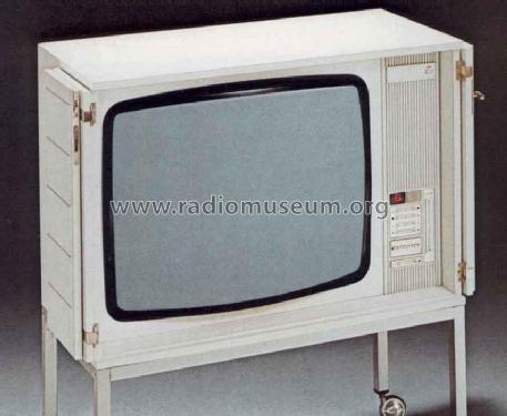 S1295U Color 52469; Loewe-Opta; (ID = 295074) Television