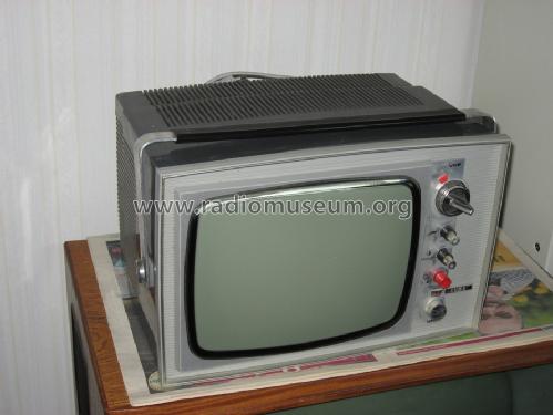 LT11F90; Luma Elektronik AB , (ID = 1413937) Televisión