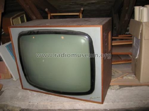 Lumant LT315; Luma Elektronik AB , (ID = 573151) Televisore