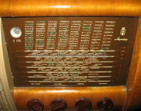 S175; Magnadyne Radio; (ID = 248813) Radio