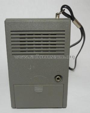 D1066 /17; Philips Magnavox (ID = 1392481) Radio