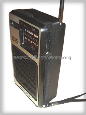 89 FM-AM Pocket Radio 90AL089 /44; Philips Magnavox (ID = 506297) Radio